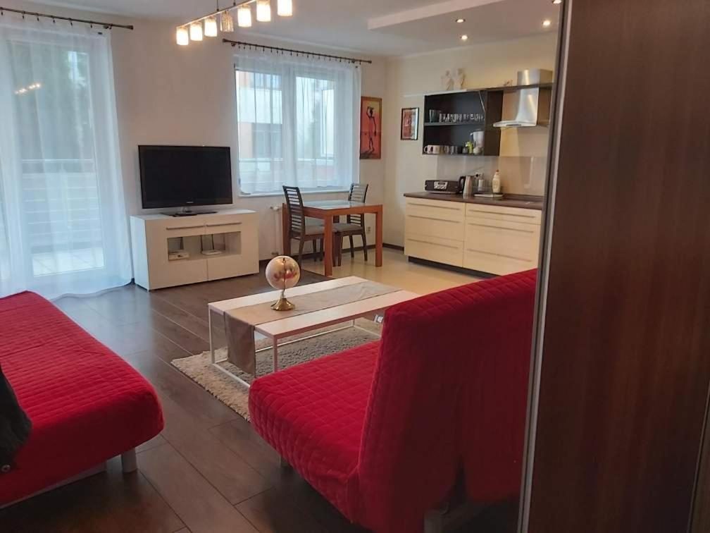 Apartament Zaglowce コウォブジェク エクステリア 写真